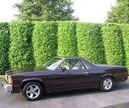 Phil & Cynthia's 1981 El Camino