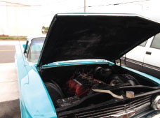 Countyrnam's 1960 Elky